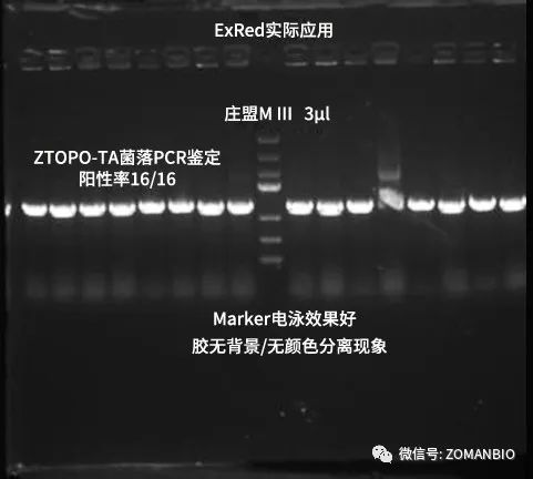 22.6 EB與red區(qū)分圖2.jpg 圖片