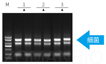 23 ZP401圖3.jpg 圖片