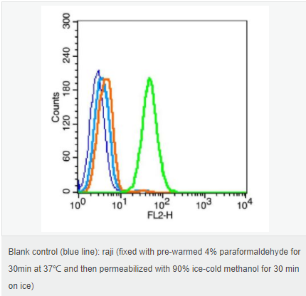 605433fac0e52.png image.png