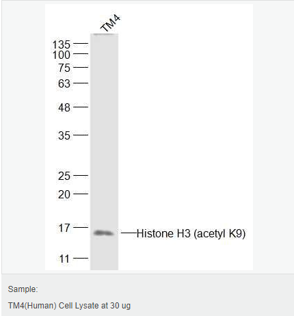 60544e6f34168.png image.png