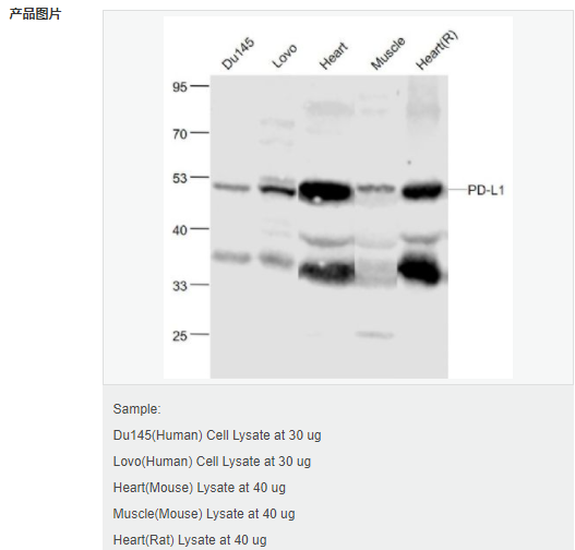 6057edb878024.png image.png