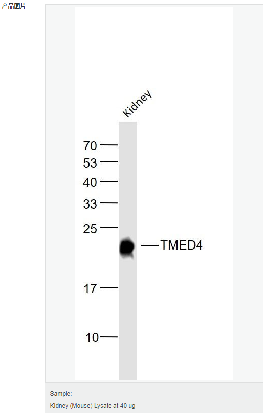 605802288567b.png image.png