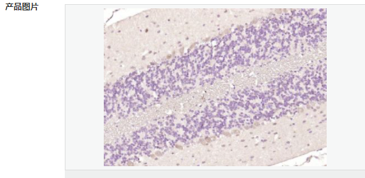 605802b617790.png image.png