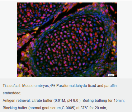 605804f57e8fb.png image.png