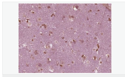 60580998790eb.png image.png