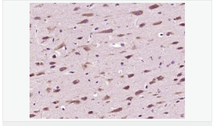 605812a251ca6.png image.png