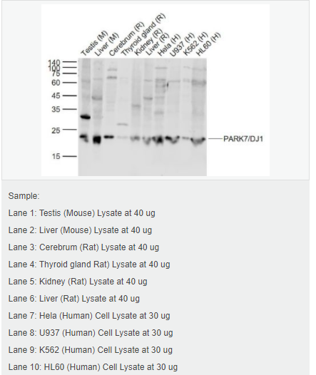 6058390d3e44c.png image.png