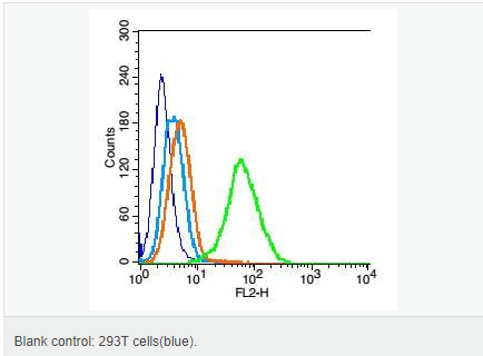 605839303c10a.png image.png