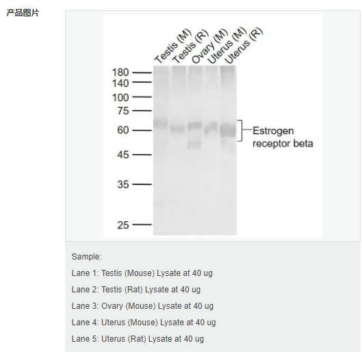 60584096d4623.png image.png