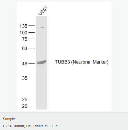 60594cb8d99e8.png image.png