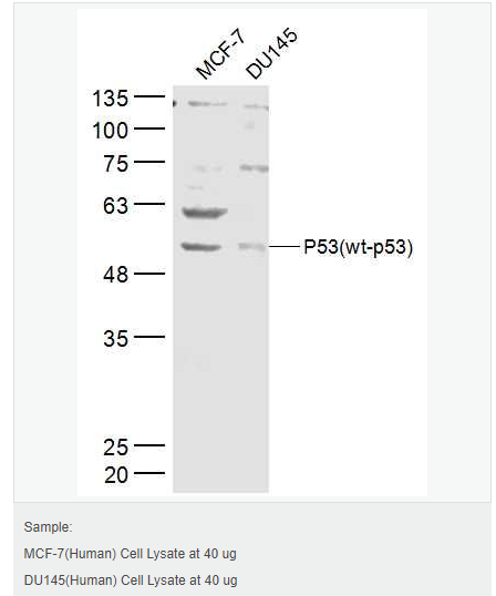 605999eebb39e.png image.png