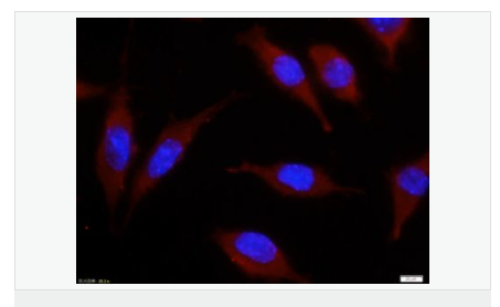 605c4847845eb.png image.png