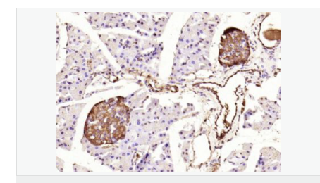 605d83c209cd9.png image.png