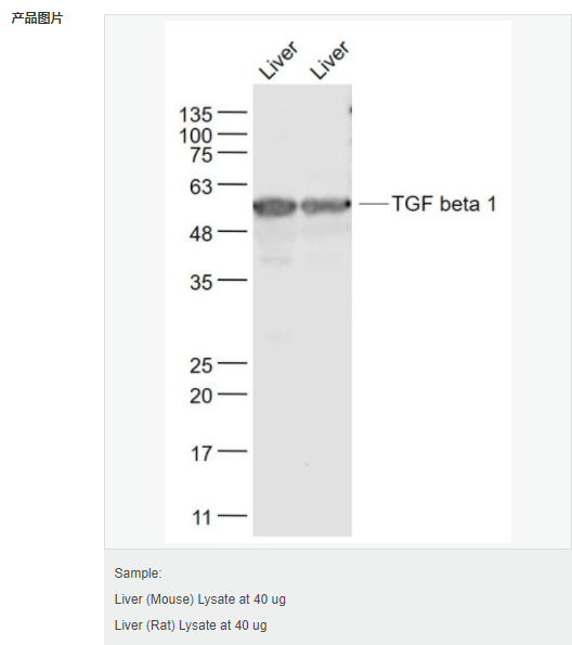 605d840dd7796.png image.png