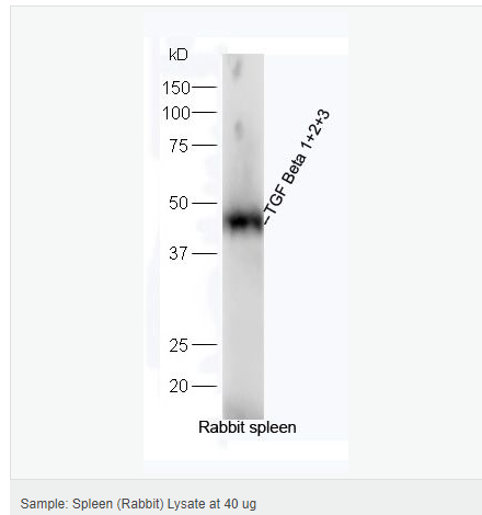 605d84a36c5c5.png image.png