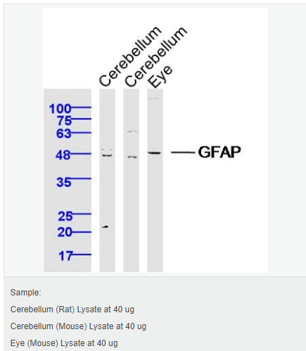 60612be69cf9e.png image.png