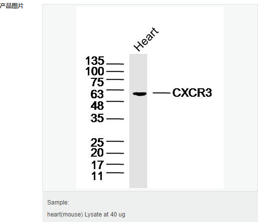 6063cbc823801.png image.png