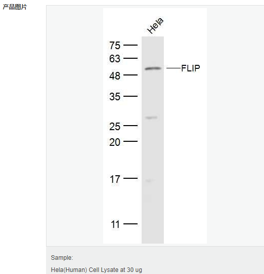 60641f7ec3bce.png image.png