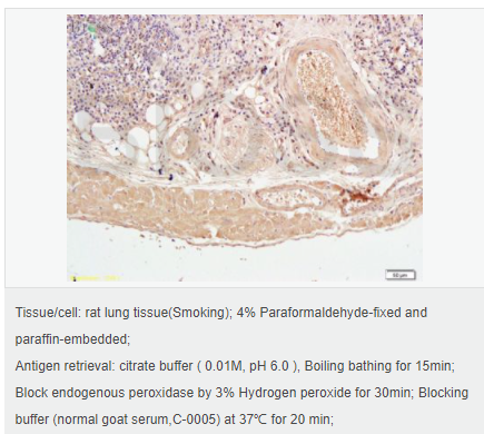 606429054bb79.png image.png