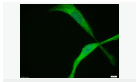 6064290fd5c28.png image.png