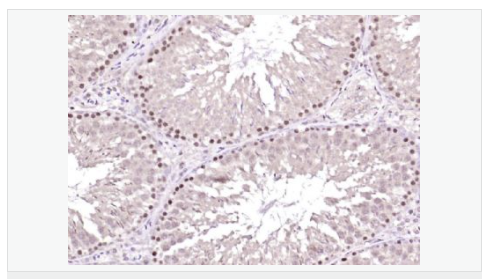 6066ba4f9c2e5.png image.png