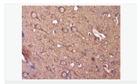 606bcfe80ead1.png image.png