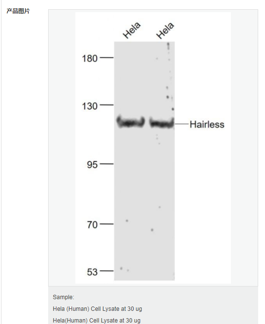 60763fa779cb6.png image.png