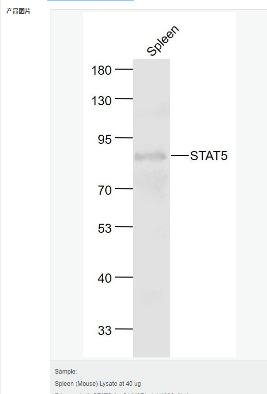 6076445d9f1f1.png image.png