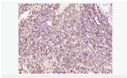 60764463ce886.png image.png