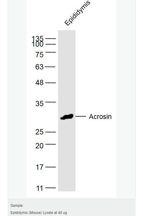 60764632a87f2.png image.png