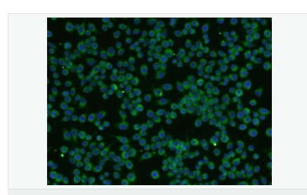 6076485a58341.png image.png