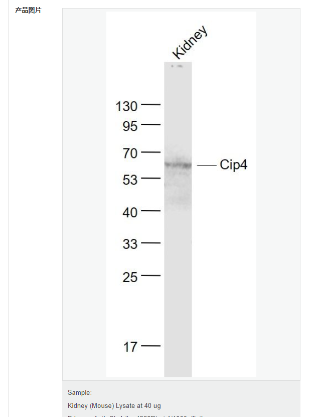 60767b33a6bdc.png image.png