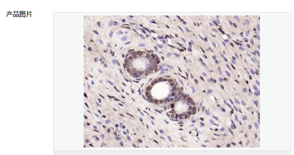 60768f7793482.png image.png