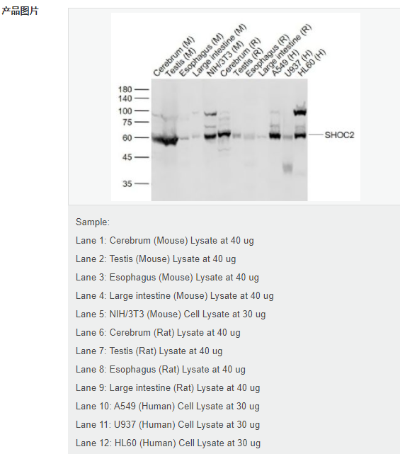 6077ed26aff81.png image.png