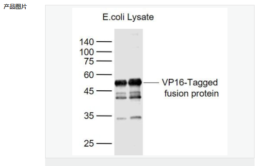 607950b6a46e9.png image.png