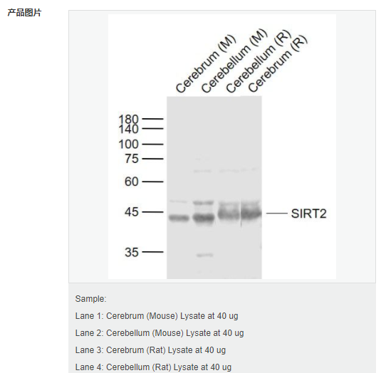 607d18d7282fd.png image.png